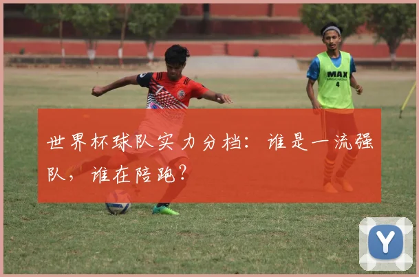 世界杯球队实力分档：谁是一流强队，谁在陪跑？