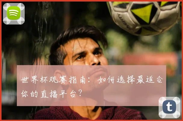 世界杯观赛指南：如何选择最适合你的直播平台？