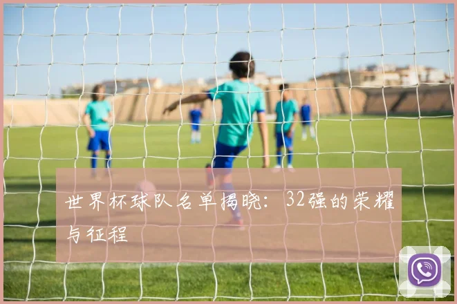世界杯球队名单揭晓：32强的荣耀与征程