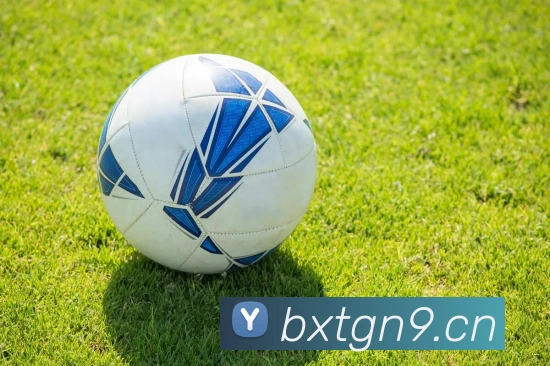 开云链接官网平台生态图